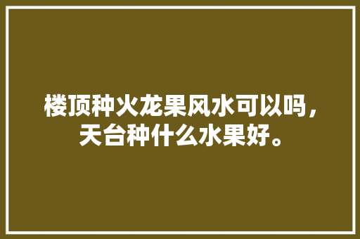 楼顶种火龙果风水可以吗，天台种什么水果好。