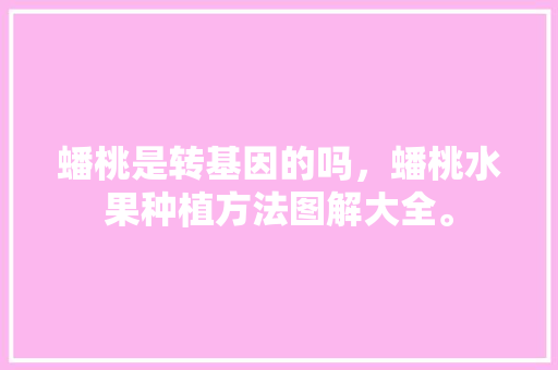 蟠桃是转基因的吗，蟠桃水果种植方法图解大全。