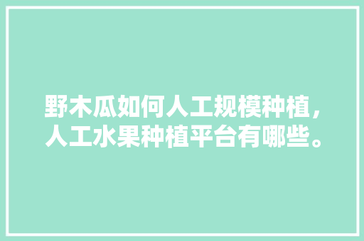 野木瓜如何人工规模种植，人工水果种植平台有哪些。 野木瓜如何人工规模种植，人工水果种植平台有哪些。 土壤施肥