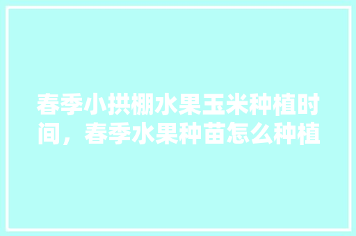 春季小拱棚水果玉米种植时间，春季水果种苗怎么种植视频。