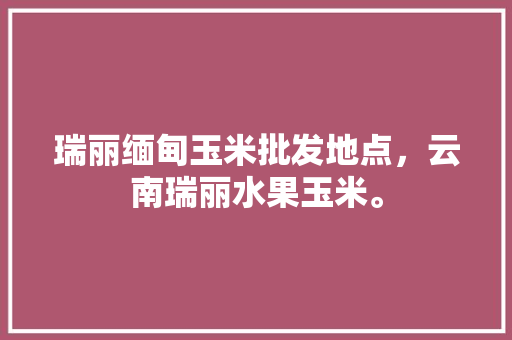 瑞丽缅甸玉米批发地点，云南瑞丽水果玉米。