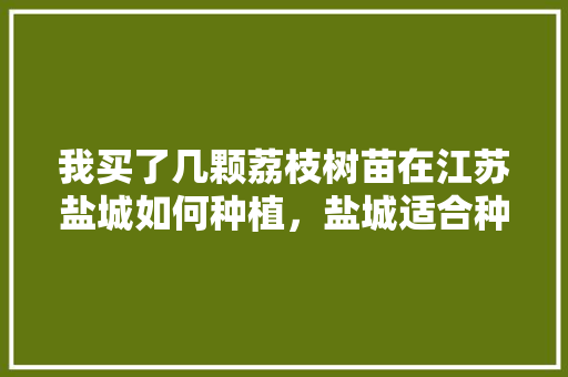 我买了几颗荔枝树苗在江苏盐城如何种植，盐城适合种植哪些水果树。 我买了几颗荔枝树苗在江苏盐城如何种植，盐城适合种植哪些水果树。 水果种植