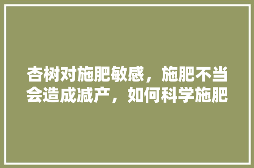 杏树对施肥敏感，施肥不当会造成减产，如何科学施肥管理呢，水果种植施肥技术视频。 杏树对施肥敏感，施肥不当会造成减产，如何科学施肥管理呢，水果种植施肥技术视频。 水果种植