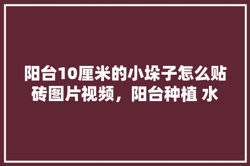 阳台10厘米的小垛子怎么贴砖图片视频，阳台种植 水果蔬菜视频教程。 畜牧养殖