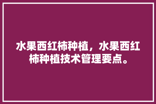 水果西红柿种植，水果西红柿种植技术管理要点。 土壤施肥