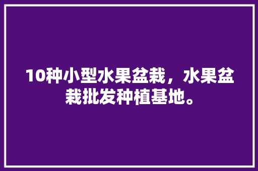 10种小型水果盆栽，水果盆栽批发种植基地。 水果种植