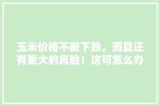 玉米价格不断下跌，而且还有更大的风险！这可怎么办，种植水果玉米的风险有哪些。 家禽养殖