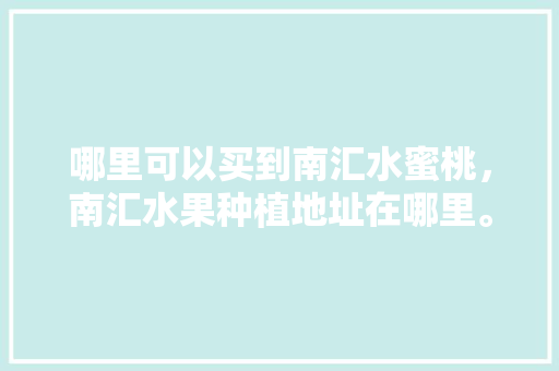 哪里可以买到南汇水蜜桃，南汇水果种植地址在哪里。 哪里可以买到南汇水蜜桃，南汇水果种植地址在哪里。 畜牧养殖