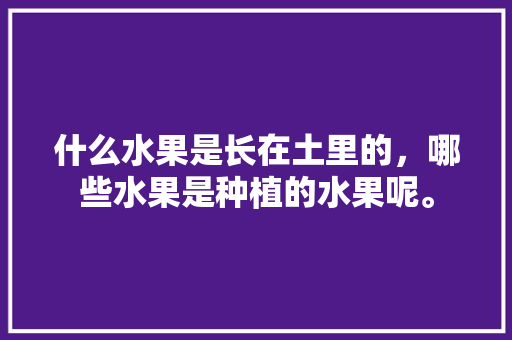 什么水果是长在土里的，哪些水果是种植的水果呢。 什么水果是长在土里的，哪些水果是种植的水果呢。 蔬菜种植