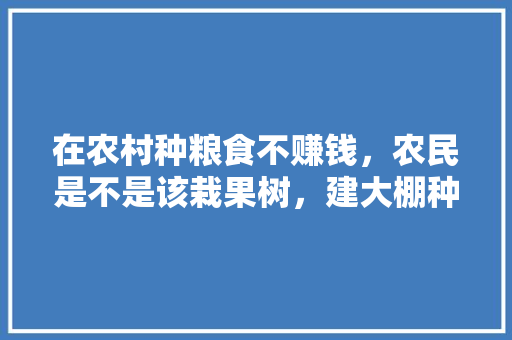 在农村种粮食不赚钱，农民是不是该栽果树，建大棚种植蔬菜水果呢，乡村种植水果蔬菜图片。