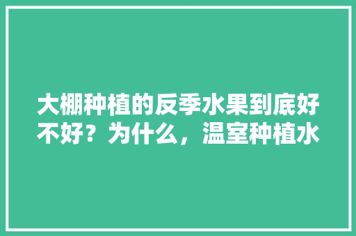 大棚种植的反季水果到底好不好？为什么，温室种植水果的好处有哪些。