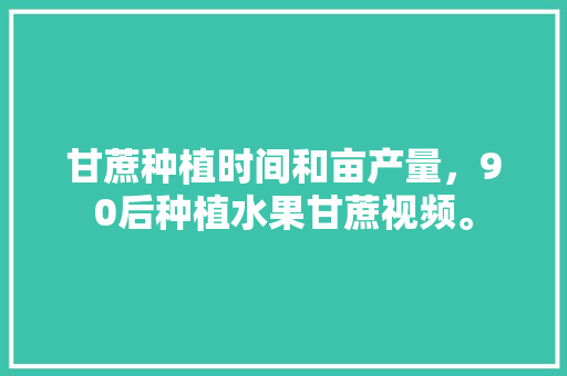 甘蔗种植时间和亩产量，90后种植水果甘蔗视频。