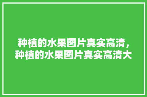 种植的水果图片真实高清，种植的水果图片真实高清大全。 种植的水果图片真实高清，种植的水果图片真实高清大全。 水果种植