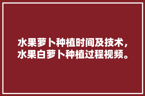 水果萝卜种植时间及技术，水果白萝卜种植过程视频。