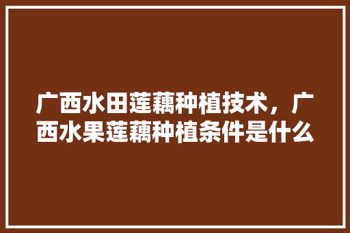 广西水田莲藕种植技术，广西水果莲藕种植条件是什么。