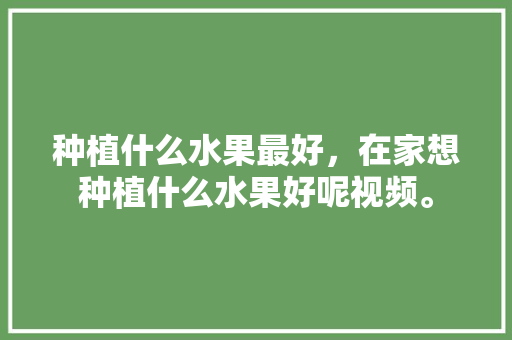 种植什么水果最好，在家想种植什么水果好呢视频。