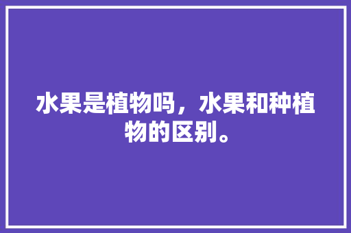 水果是植物吗，水果和种植物的区别。