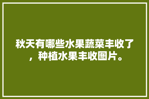 秋天有哪些水果蔬菜丰收了，种植水果丰收图片。