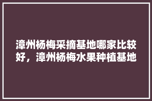 漳州杨梅采摘基地哪家比较好，漳州杨梅水果种植基地在哪里。