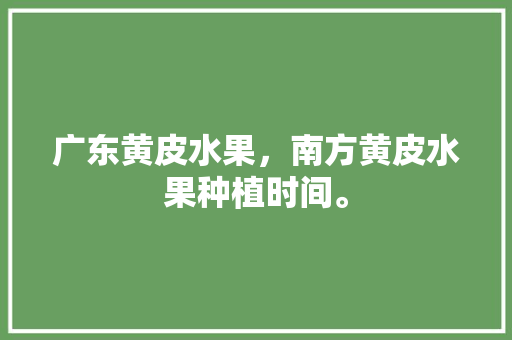 广东黄皮水果，南方黄皮水果种植时间。