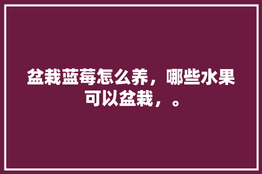 盆栽蓝莓怎么养，哪些水果可以盆栽，。