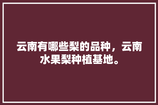 云南有哪些梨的品种，云南水果梨种植基地。