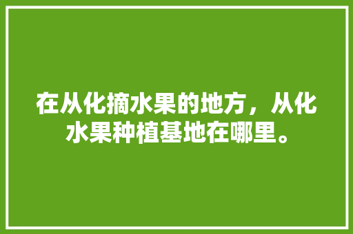 在从化摘水果的地方，从化水果种植基地在哪里。