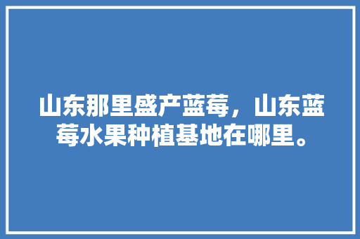 山东那里盛产蓝莓，山东蓝莓水果种植基地在哪里。