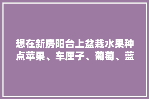 想在新房阳台上盆栽水果种点苹果、车厘子、葡萄、蓝莓，该选择多大的花盆好？该怎么种，阳台水果种植推荐盆栽图片。