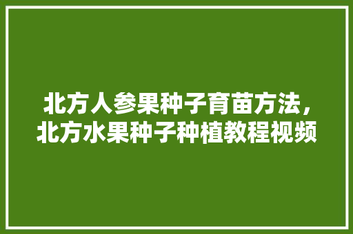 北方人参果种子育苗方法，北方水果种子种植教程视频。