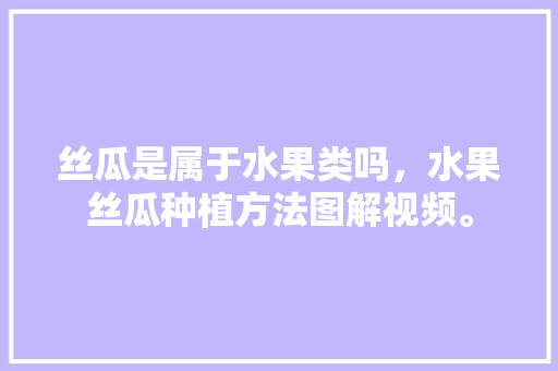 丝瓜是属于水果类吗，水果丝瓜种植方法图解视频。