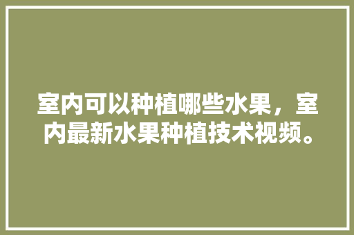 室内可以种植哪些水果，室内最新水果种植技术视频。