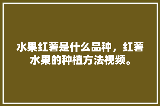 水果红薯是什么品种，红薯水果的种植方法视频。 水果红薯是什么品种，红薯水果的种植方法视频。 畜牧养殖