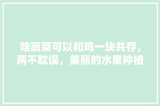 啥蔬菜可以和鸡一块共存，两不耽误，美丽的水果种植视频教程。