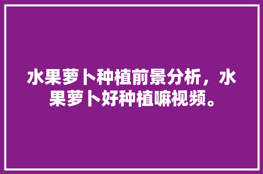 水果萝卜种植前景分析，水果萝卜好种植嘛视频。