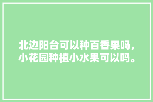 北边阳台可以种百香果吗，小花园种植小水果可以吗。