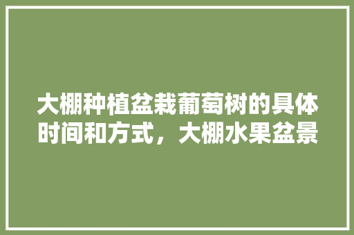 大棚种植盆栽葡萄树的具体时间和方式，大棚水果盆景种植技术视频。