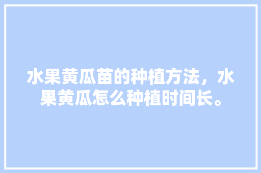 水果黄瓜苗的种植方法，水果黄瓜怎么种植时间长。