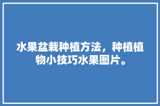 水果盆栽种植方法，种植植物小技巧水果图片。