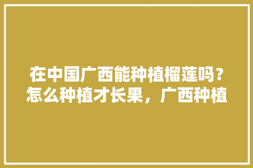 在中国广西能种植榴莲吗？怎么种植才长果，广西种植水果成功案例视频。 在中国广西能种植榴莲吗？怎么种植才长果，广西种植水果成功案例视频。 蔬菜种植