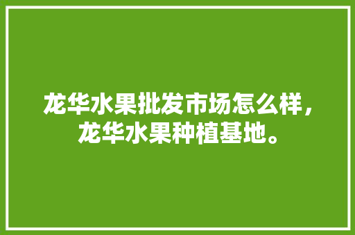 龙华水果批发市场怎么样，龙华水果种植基地。