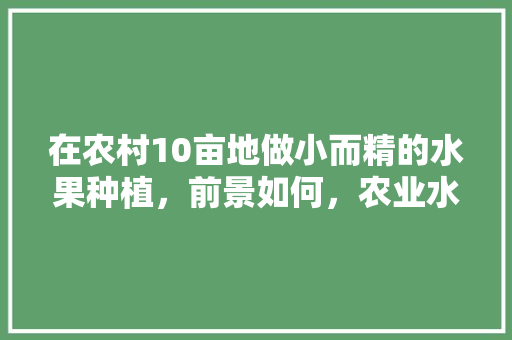 在农村10亩地做小而精的水果种植，前景如何，农业水果种植前景如何。