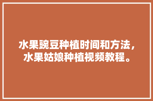 水果豌豆种植时间和方法，水果姑娘种植视频教程。