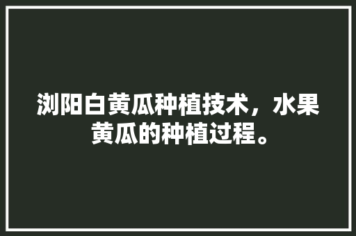 浏阳白黄瓜种植技术，水果黄瓜的种植过程。