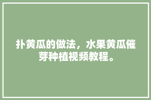 扑黄瓜的做法，水果黄瓜催芽种植视频教程。