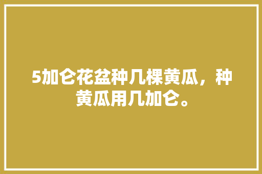 5加仑花盆种几棵黄瓜，种黄瓜用几加仑。