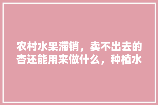 农村水果滞销，卖不出去的杏还能用来做什么，种植水果盆栽杏树好吗。