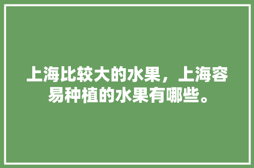 上海比较大的水果，上海容易种植的水果有哪些。