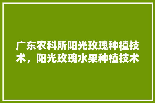 广东农科所阳光玫瑰种植技术，阳光玫瑰水果种植技术。