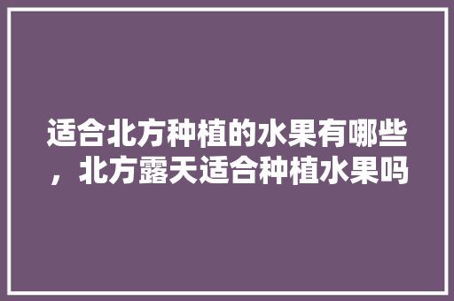 适合北方种植的水果有哪些，北方露天适合种植水果吗。